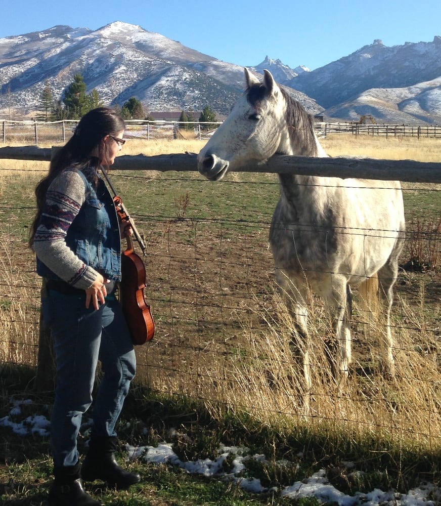 Horse Serenade