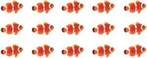 Clown Fish Group