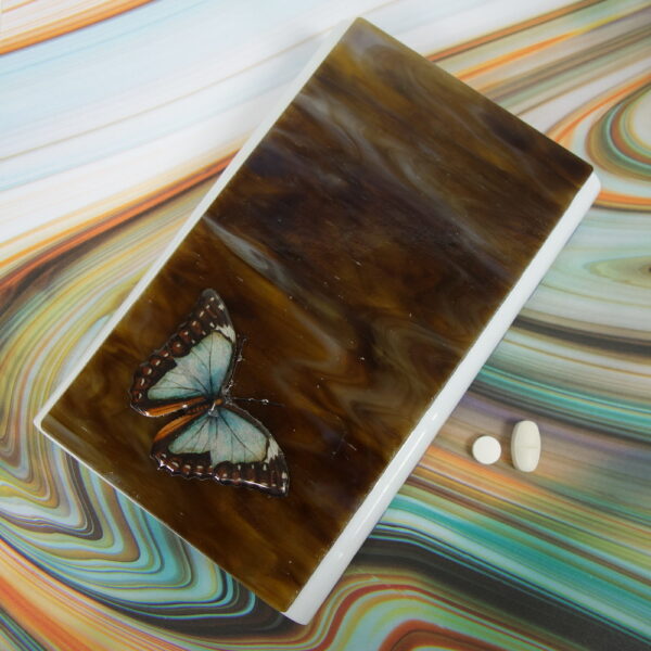 Brown Blue Butterfly Large 28-dose Pillbox