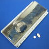 Navy Blue Wave Disk XL 14-dose Pillbox