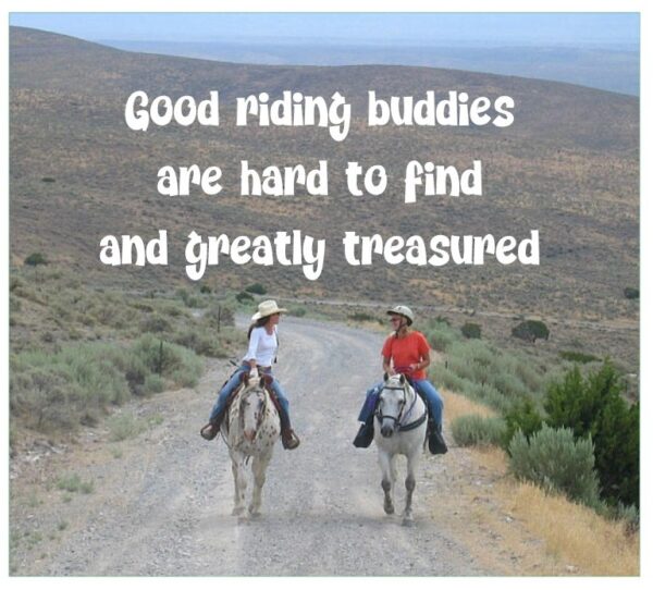 Horsey Sticker--Good Riding Buddies