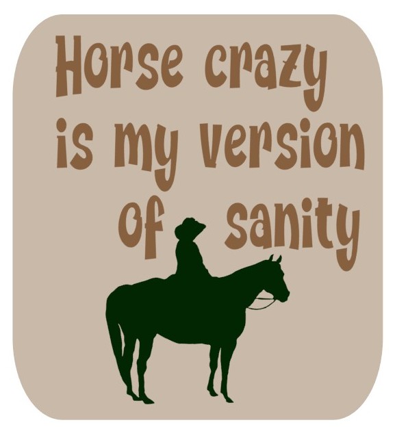 Horsey Magnet--Horse Crazy
