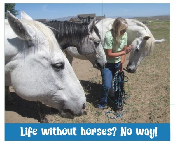 Horsey Magnet--LIfe Without Horses