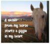 Horsey Magnet--A nicker from my horse