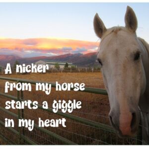 Horsey Magnet--A nicker from my horse