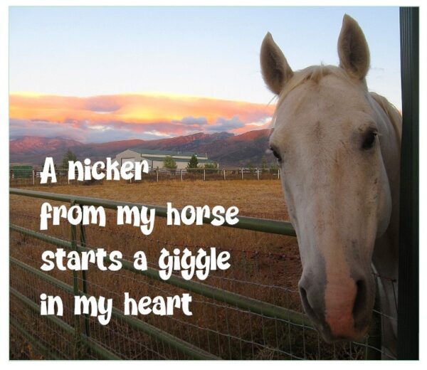 Horsey Magnet--A nicker from my horse